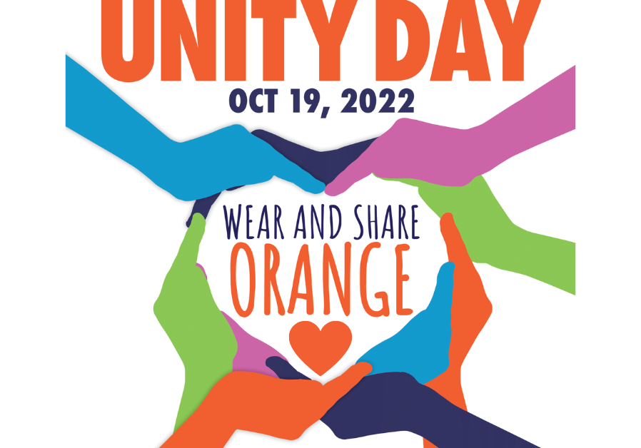 Unity Day 22 FI